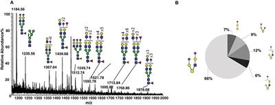 Specific Sialoforms Required for the Immune Suppressive Activity of Human Soluble CD52